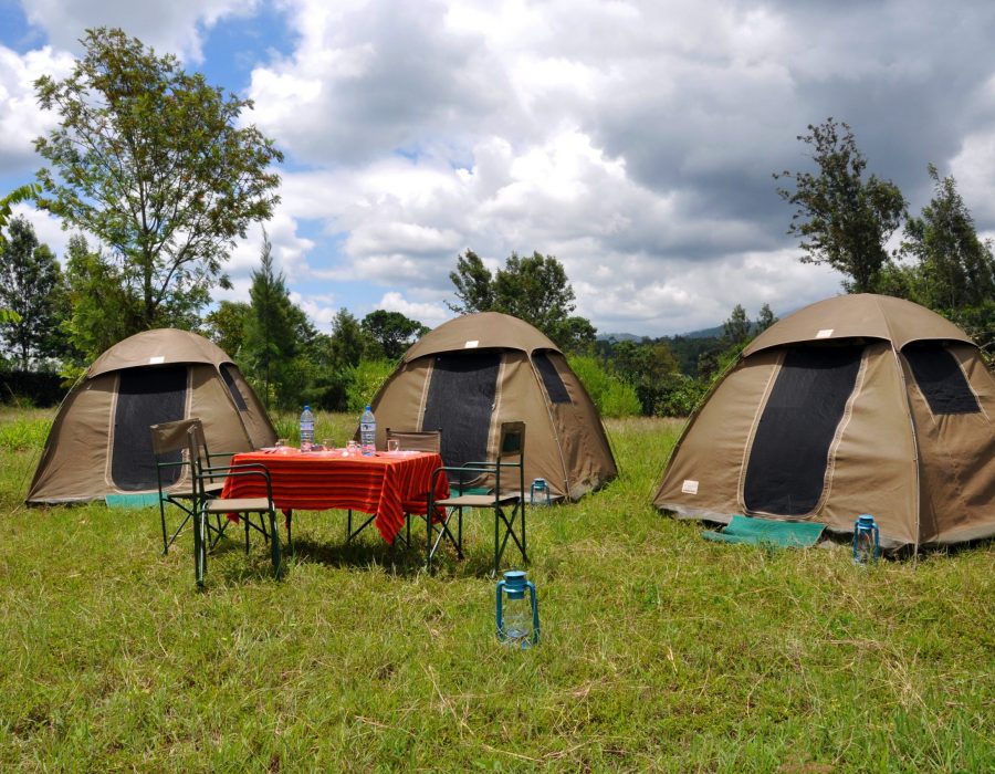 BASIC CAMPING 1 BASIC CAMPING 1