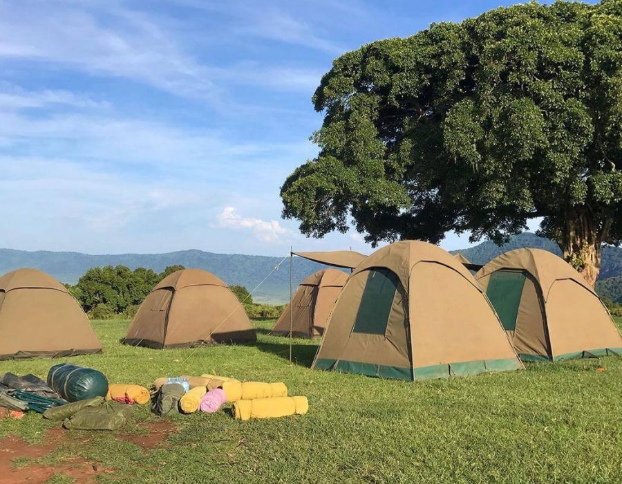 BASIC CAMPING 4 BASIC CAMPING 4